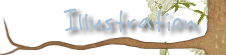 Illustrations